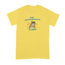Rats Spelled Backwards is Star Shirt Wordplay Rat Lover Tshirt