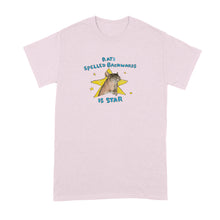 Rats Spelled Backwards is Star Shirt Wordplay Rat Lover Tshirt