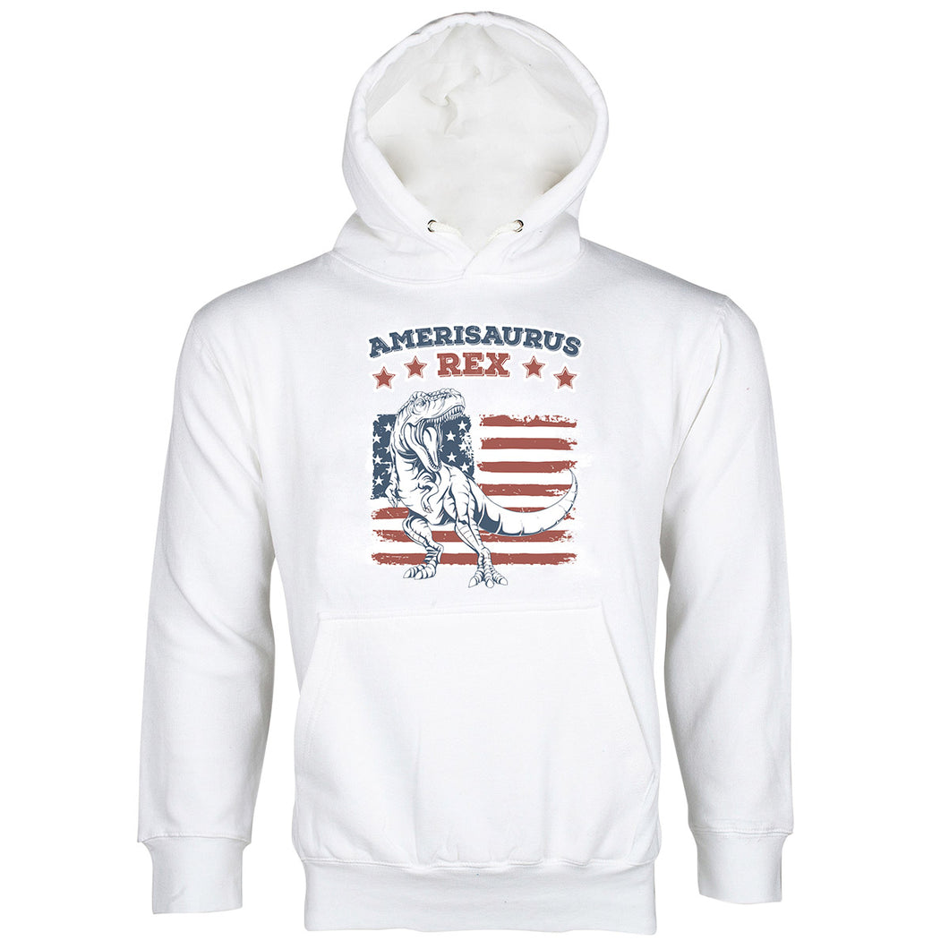Amerisaurus Rex Hoodie 4th of July Dinosaur Hoodie Funny T Rex Hoodie