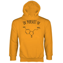 In Pursuit of Happiness Chemical Hoodies Chemistry Hoodie
