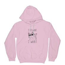 Cat I Do What I Want Hoodie I Do What I Want Cat Hoodie