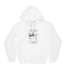 Cat I Do What I Want Hoodie I Do What I Want Cat Hoodie