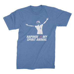 Megan Rapinoe Shirt Megan Rapinoe Is My Spirit Animal T Shirt