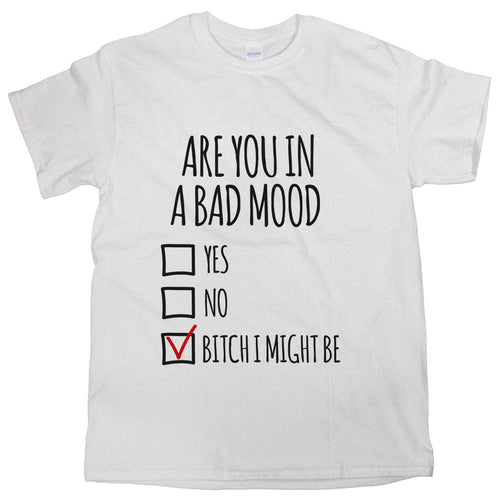 Bad Mood Shirt Are You In A Bad Mood T-Shirt Bitch I Might Be Tee