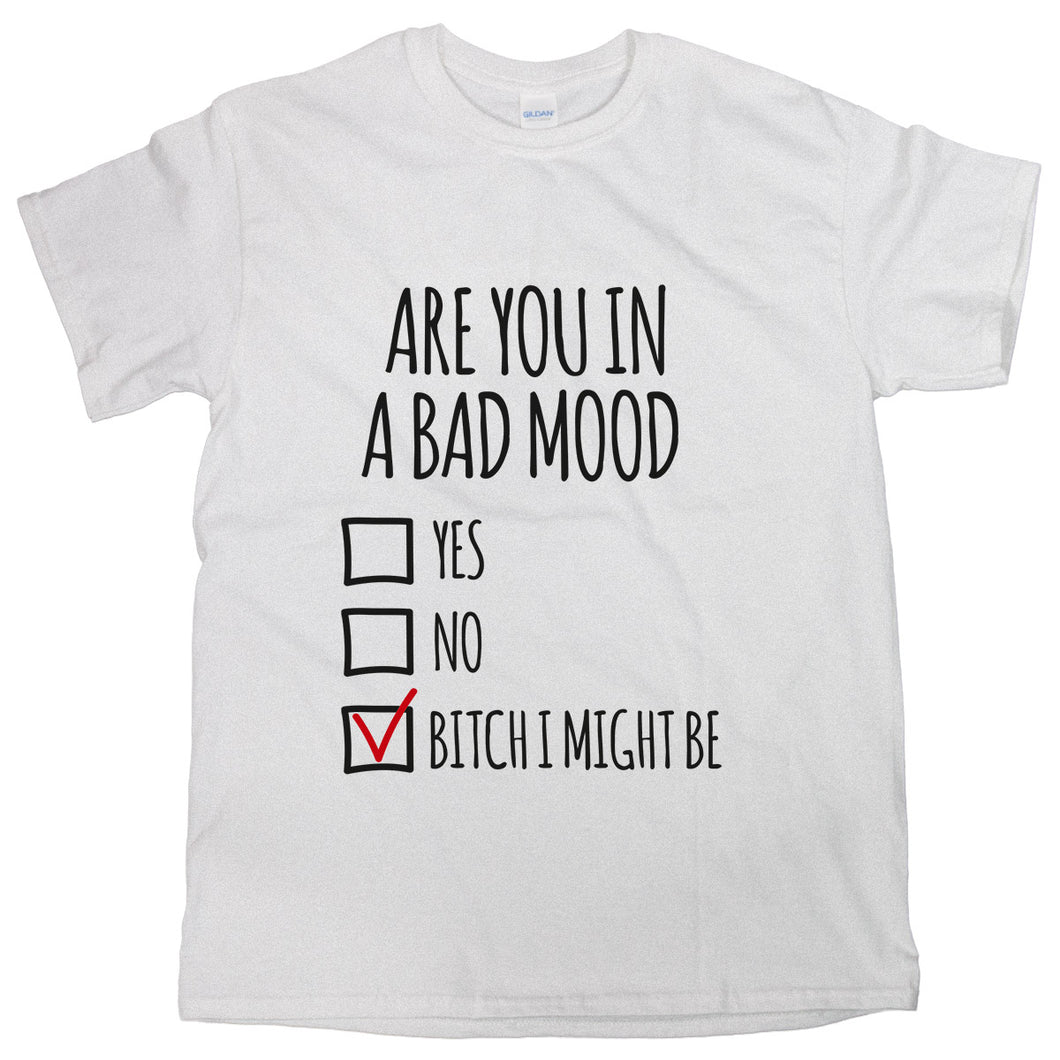 Bad Mood Shirt Are You In A Bad Mood T-Shirt Bitch I Might Be Tee