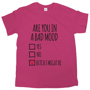 Bad Mood Shirt Are You In A Bad Mood T-Shirt Bitch I Might Be Tee