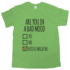 Bad Mood Shirt Are You In A Bad Mood T-Shirt Bitch I Might Be Tee