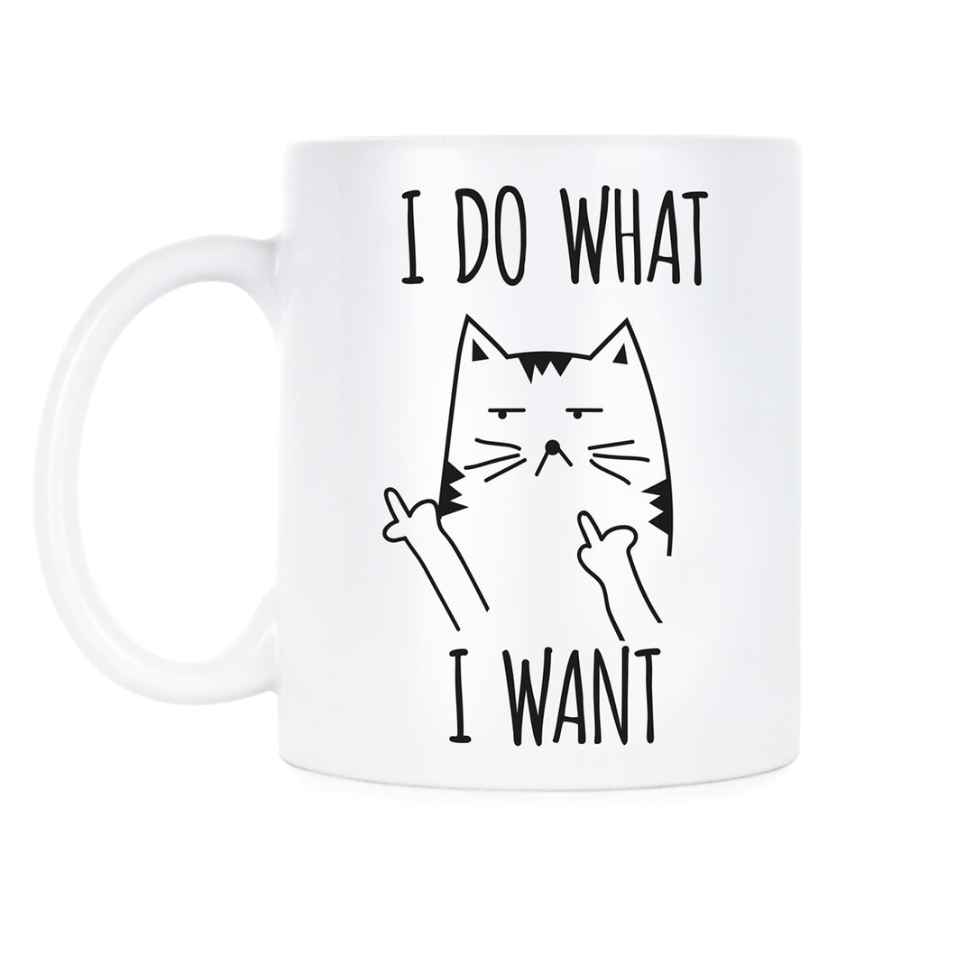 I Do What I Want Cat Mug Sassy Cat Coffee Mugs Funny Cat Lover Gift Fluff You Kitten Cup