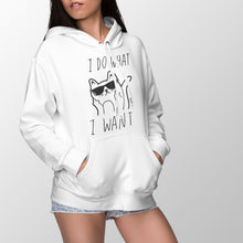 Cat I Do What I Want Hoodie I Do What I Want Cat Hoodie